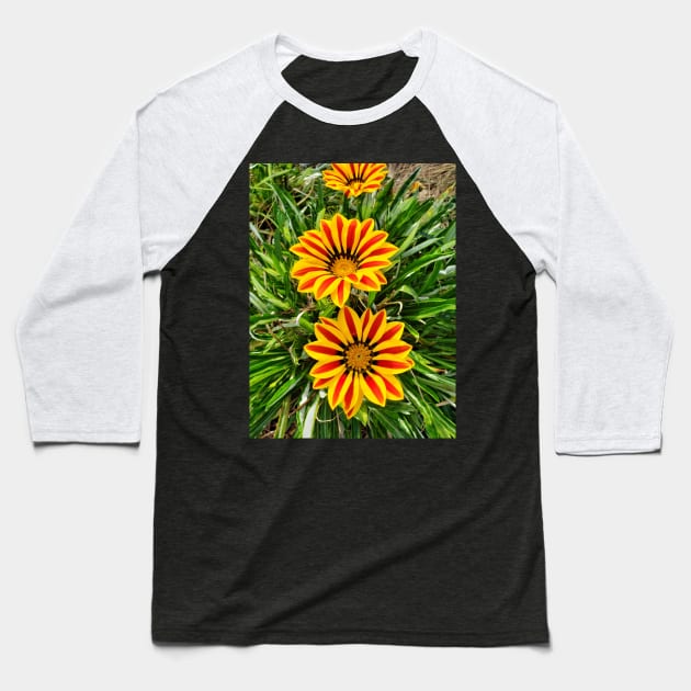 African Daisy Baseball T-Shirt by thadz